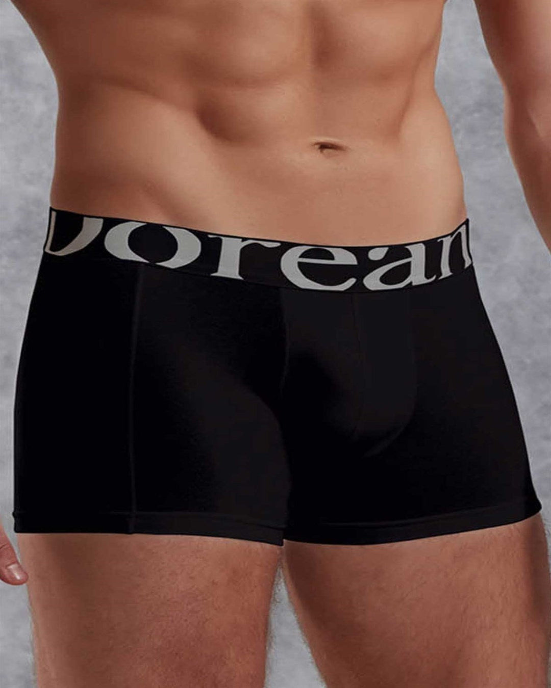 Doreanse Men’s Boxer Brief Basic available 5 color Underwear 1777