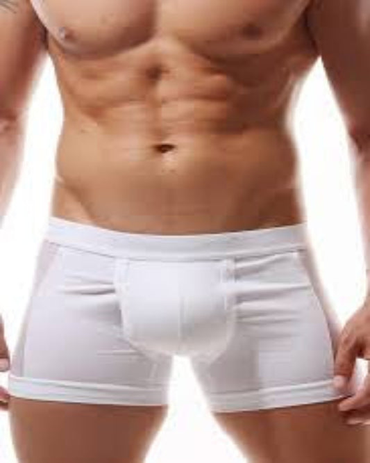 Doreanse Boxer Brief With Side Mesh Panel 1761