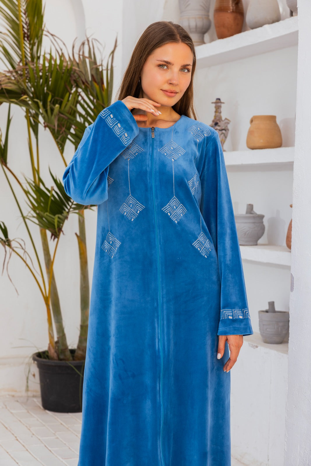 Velvet embroidered dress EG14980