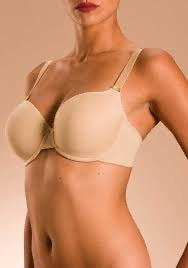 Chantelle Basic Invisible T Shirt Bra #3261