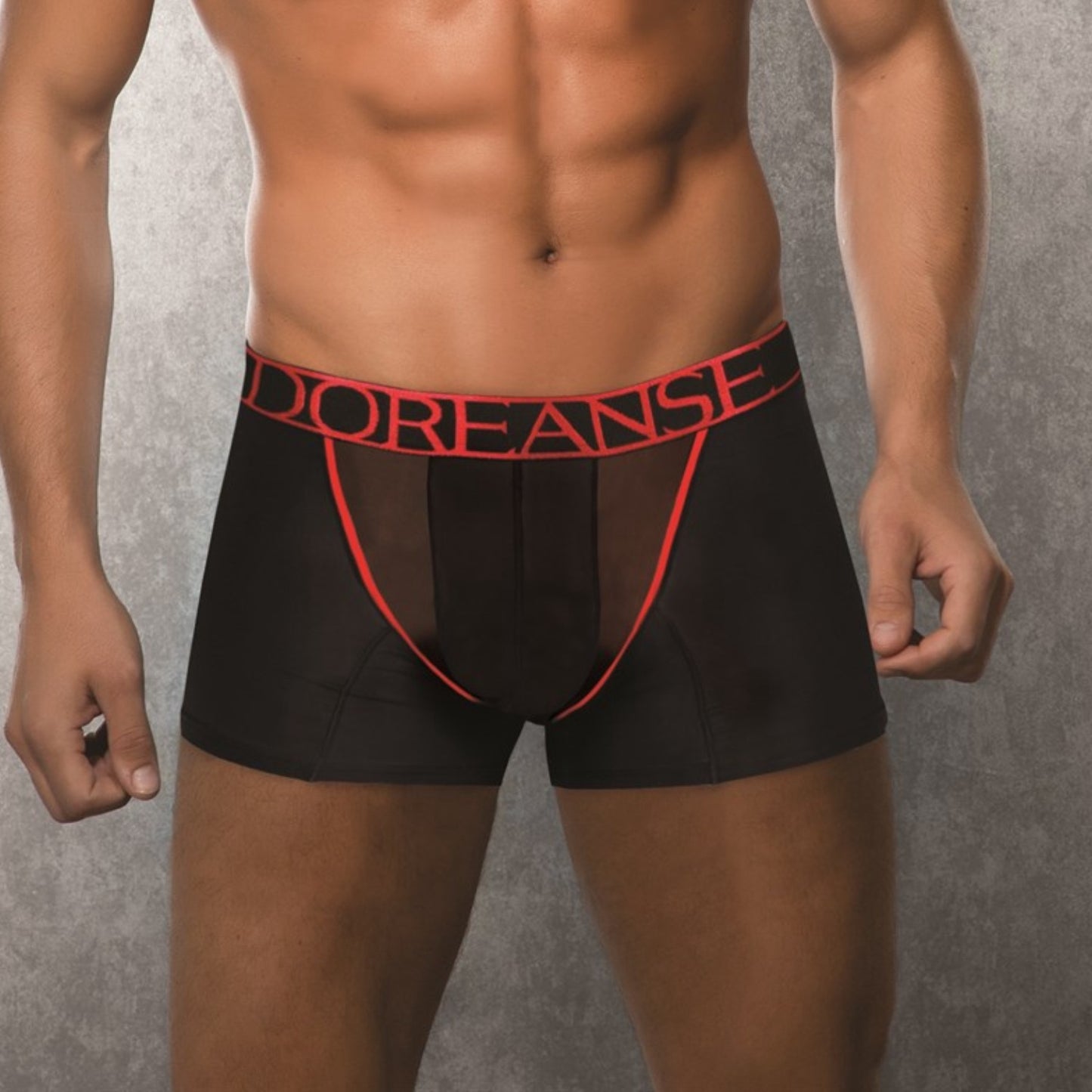 Doreanse Men's Underwear Boxer Briefs 1562 Sexy Collection